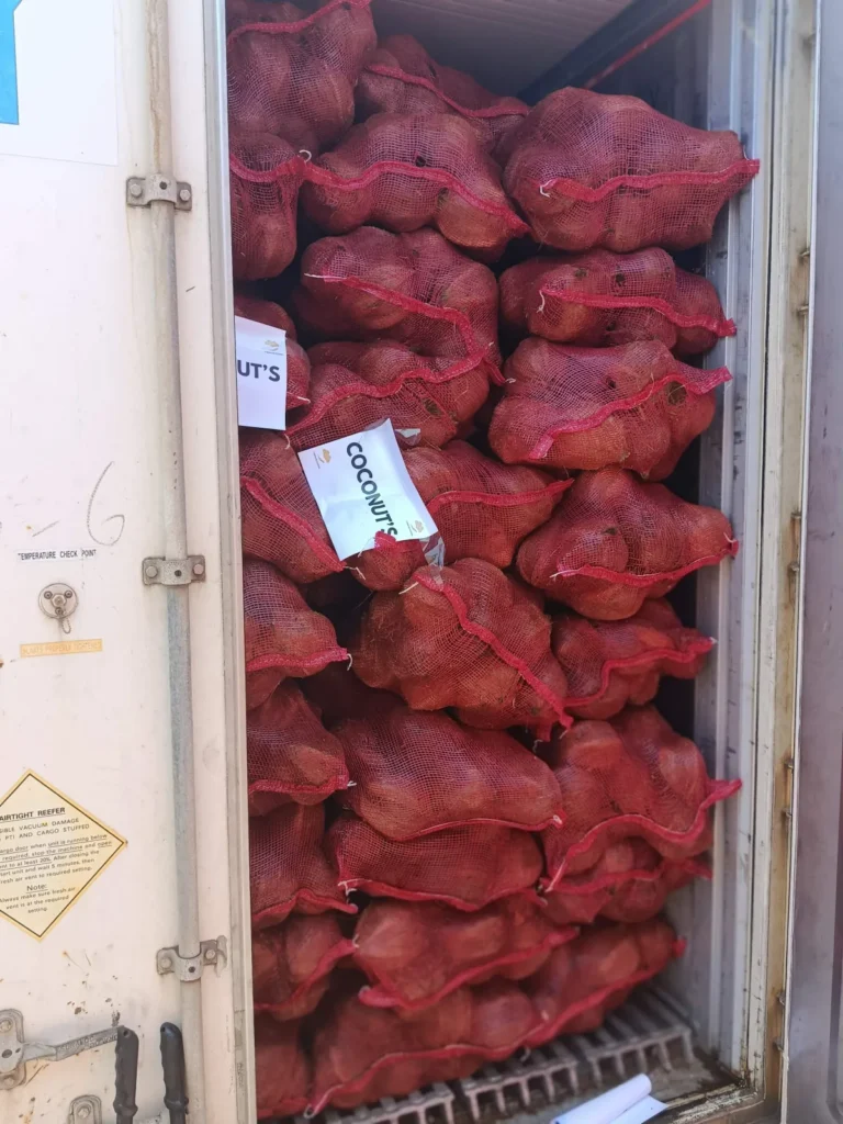 Coconut export label tag attached to a mesh sack inside a refrigerated shipping container