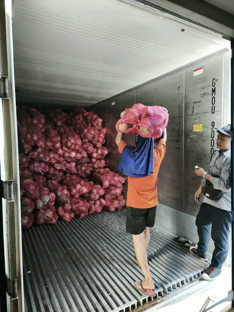 Worker carrying a sack of semi husked coconuts into a shipping container for export